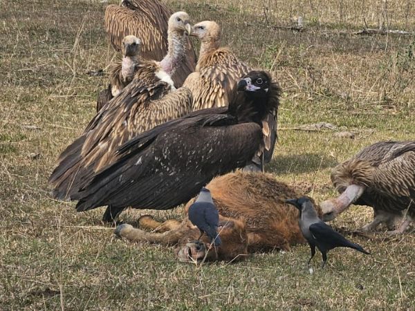 Rajaji National Park
