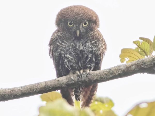 Rajaji National Park