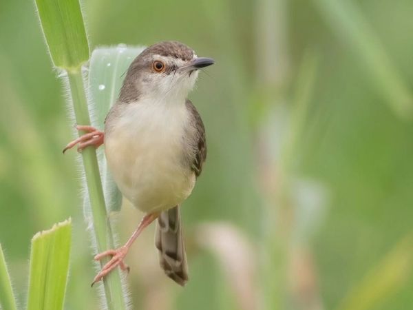 Rajaji National Park