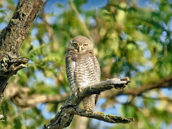 Rajaji National Park