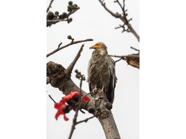 Rajaji National Park