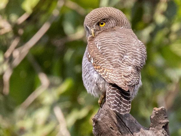 Rajaji National Park
