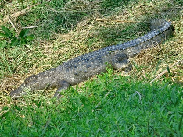 Rajaji National Park