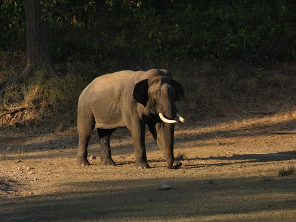 Rajaji National Park